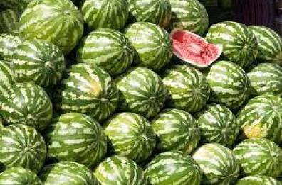 Maltempo, Copagri: «In Puglia danni irreparabili ad angurie e meloni»