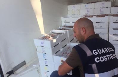 Pesce putrefatto, blitz in pescherie: due chiusure a Taranto e Barletta