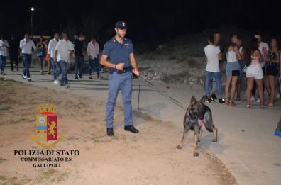 Gallipoli, blitz nella zona della movida: la polizia con i cani antidroga