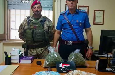 Spaccio, arrestati due rifugiati gambiani: avevano mezzo kg di droga e 1500 euro in contanti