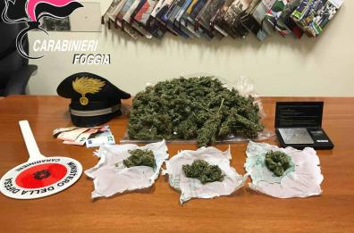 Foggia, nascondeva la droga in un cespuglio: arrestato 20enne