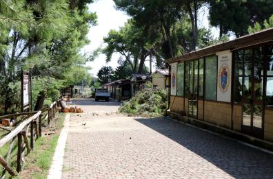 Parco Cimino, al via i lavori per la messa in sicurezza della pineta
