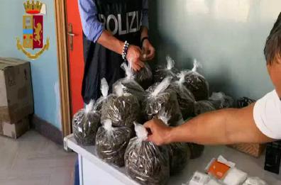Bari, 35mila dosi di marijuana sequestrate: avrebbero fruttato 100mila euro