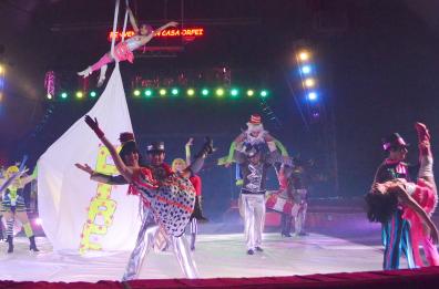 Bari, il Comune blocca il Circo
a Natale: pasticcio burocratico