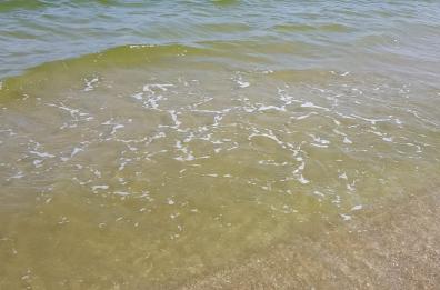 Barletta, tragedia in mare 43enne muore dopo aver salvato la figlia