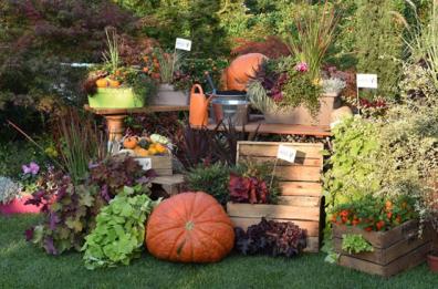 I giardini? Emozione d'autunno