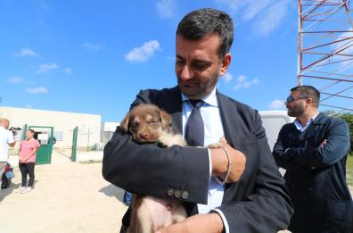 Bari,  Decaro e «Tonino» il cucciolo-simbolo per le adozioni