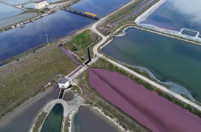 Bomba ecologica alle Saline: canale sequestrato, numerosi indagati
Stea: «Presto vertice bonifica» L'acqua rossa dei rifiuti: il video choc