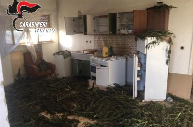 Marina di Ginosa, ritrovati 60 kg di marijuana in un casolare: 2 arresti