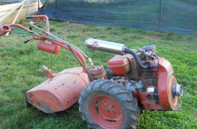Potenza, 69enne muore travolto
da motozappa nel giardino di casa