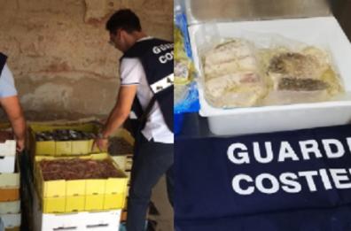 Bari, sequestrate 7 tonnellate di sgombri provenienti dalla Sicilia: il pesce era scaduto nel 2015