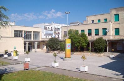 Auto alunna disabile non può entrare in cortile scuola: proteste