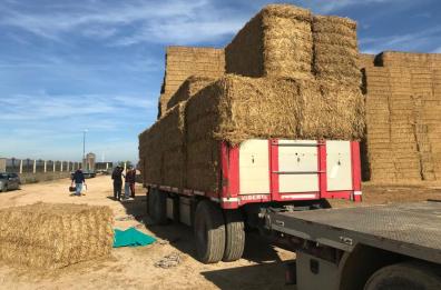 Balla di fieno cade da camion, operaio muore schiacciato ad Arpinova
