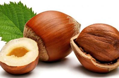 Basilicata in guscio: nocciole che passione