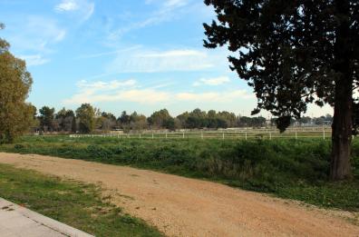 Foggia, parco all’ex ippodromo stop della soprintendenza