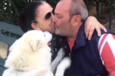 S.Pietro Vernotico, morto il cane bruciato vivo perché abbaiava troppo