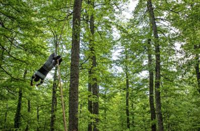 Il Maggio di Accettura finisce sul New York Times: gli scatti sono di un fotografo barese