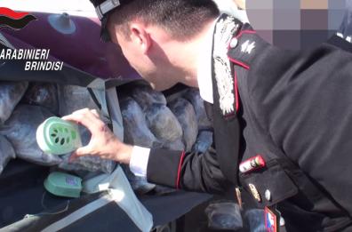 Profumo al gelsomino per confondere i cani antidroga: la scoperta dei cc a Brindisi