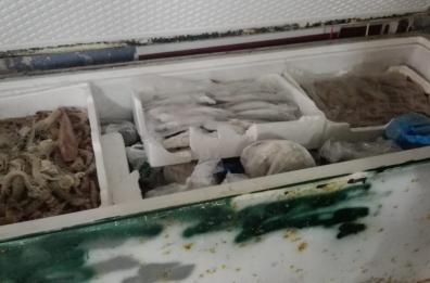 Bat, pesce spada, polpi e calamari scaduti o illegali: sequestrate 12 tonnellate 