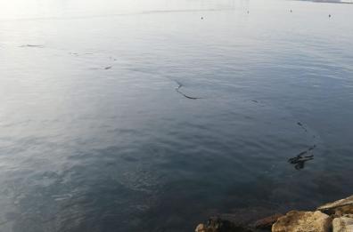 Brindisi, macchia scura nelle acque del Porto: al via i controlli