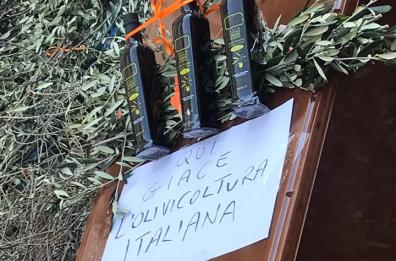 Gilet arancioni, Centinaio: «Presto decreti su gelate e Xylella»