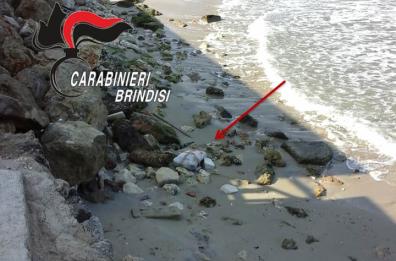 Carovigno, "spiaggiati" a Punta Penna Grossa 14 kg di marijuana 