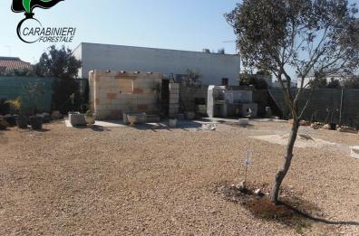 Distruggono macchia mediterranea per costruire edifici, due denunce a Porto Cesareo