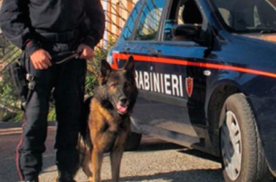 Ripacandida, nascondeva in casa hashish e marijuana: 23enne nei guai 