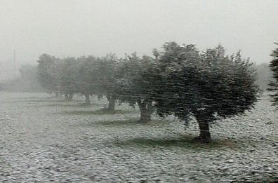 Vento gelido e fiocchi di neve: giù le temperature nel Barese
