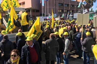 Xylella, la protesta di Coldiretti Puglia con i trattori a Lecce