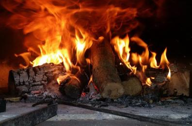 Mercato nero della legna: un business malavitoso
