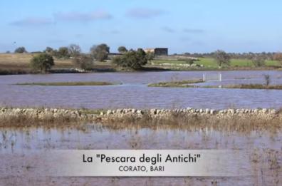Giornate Fai di Primavera: ecco i luoghi più belli aperti in Basilicata e Puglia 