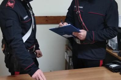 Coltivava marijuana in casa: arrestato 40enne nel Materano