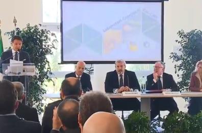 Contrasto alla Xylella, Lezzi: «per il 2020 e il 2021 in arrivo 300 mln»