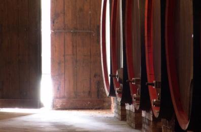 Vini più acquistati nei supermercati della Puglia: Negroamaro, Nero di Troia e Primitivo