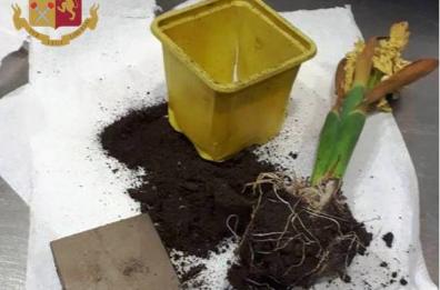 Taranto, ruba energia elettrica con un magnete in una pianta: denunciato
