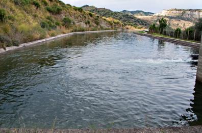L'allarme di Coldiretti: «Nelle dighe lucane meno acqua rispetto lo scorso anno»