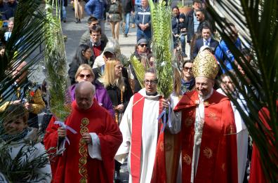Domenica delle Palme, la benedizione degli ulivi a Bari