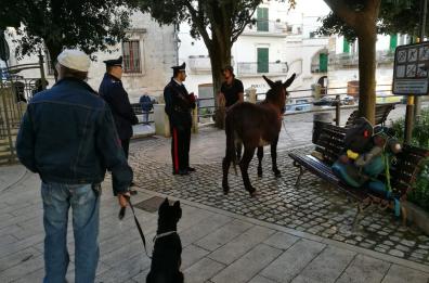 Locorotondo, pace fatta tra pellegrino Bruno con la sua asinella e i vigili