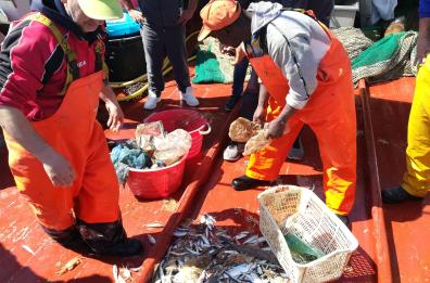 Molfetta, pescatori in prima linea contro un mare di plastica