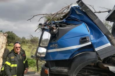 Bari, vento troppo forte, albero precipita su camion: ferito autista. Luminarie giù come birilli 
