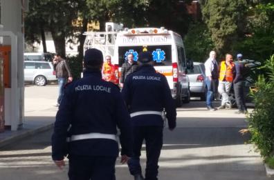 Paura a Foggia, attivista minaccia di darsi fuoco per protesta contro taglio alberi