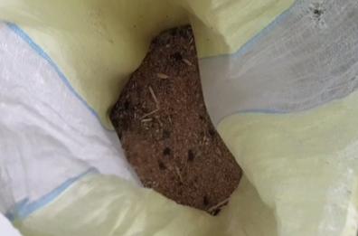 Scarafaggi in mulino ad Altamura, sequestrate 16 tonnellate di prodotti