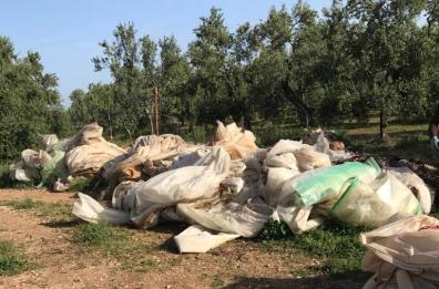 Bufera di vento nei giorni di Pasqua: vigneti in ginocchio, danni fino a 10mila euro a ettaro