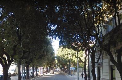 Lecce, auto contro albero in pieno centro nella notte: muore 62enne