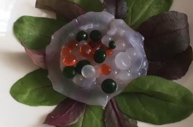Meduse? Usate in cucina e per il make up, parla la ricercatrice