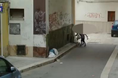 Incivili a Mola abbandonano rifiuti per strada, il sindaco: «Nessuna pietà»