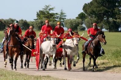 Chieuti, uomo morì durante corsa buoi: animalisti chiedono lo stop a Emiliano