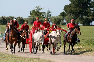 No ai soldi della Regione per il «massacro» di Chieuti: ira degli animalisti