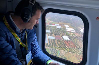 Xylella, Centinaio: «Chiedo scusa alla Puglia per il voltafaccia dello Stato»